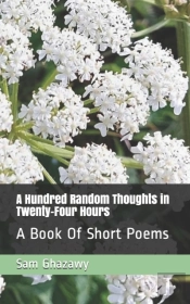 A Hundred Random Thoughts In Twenty-Four Hours