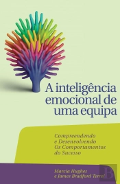 A Inteligência Emocional de Uma Equipa