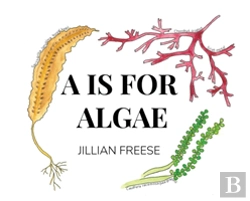 Bertrand.pt - A Is For Algae