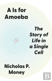 A Is For Amoeba