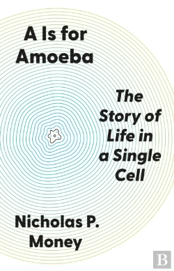 Bertrand.pt - A Is For Amoeba
