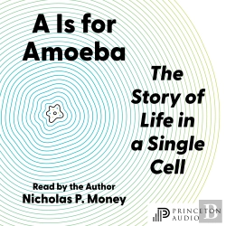 Bertrand.pt - A Is For Amoeba
