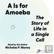 A Is For Amoeba