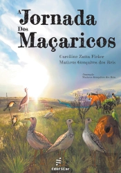 A Jornada Dos Maçaricos