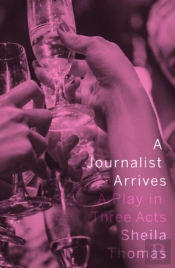 A Journalist Arrives