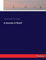 A Journey In Brazil