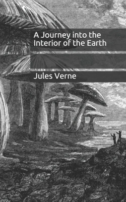 Bertrand.pt - A Journey Into The Interior Of The Earth