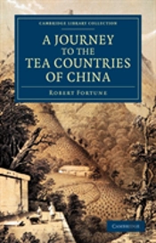 A Journey To The Tea Countries Of China