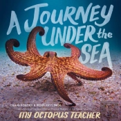 A Journey Under The Sea
