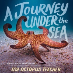 Bertrand.pt - A Journey Under The Sea