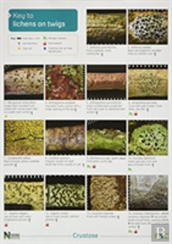 Bertrand.pt - A Key To Lichens On Twigs