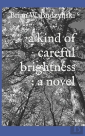 A Kind Of Careful Brightness
