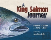 A King Salmon Journey