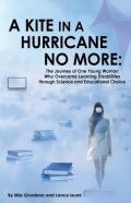 A Kite In A Hurricane No More