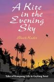 A Kite In The Evening Sky