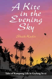 A Kite In The Evening Sky