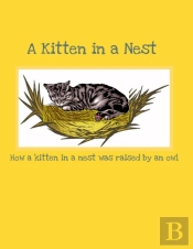 A Kitten In A Nest