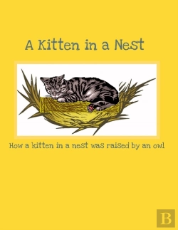 Bertrand.pt - A Kitten In A Nest