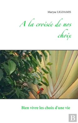 Bertrand.pt - À La Croisée De Nos Choix ; Comment Mieux Vivre Les Changements Dans Notre Vie ?