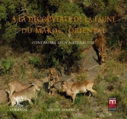 Bertrand.pt - À La Découverte De La Faune Du Maroc Oriental ; Itinéraires D'Un Naturaliste