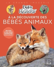 A La Découverte Des Bébés Animaux