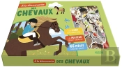 À La Découverte Des Chevaux