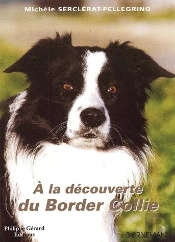 À La Découverte Du Border Collie