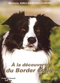 Bertrand.pt - À La Découverte Du Border Collie