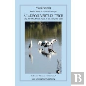 À La Découverte Du Teich