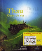 À La Découverte Sous-Marine De Thau
