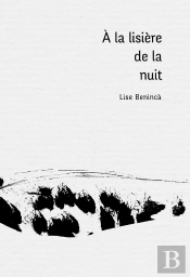À La Lisière De La Nuit : Petites Excursions En Pays D'Insomnie