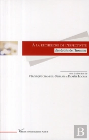 A La Recherche De L'Effectivite Des Droits De L'Homme