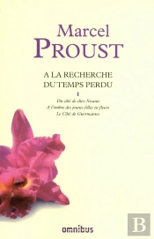 À La Recherche Du Temps Perdu : Intégrale Vol.1 : Tomes 1 À 3