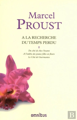 Bertrand.pt - À La Recherche Du Temps Perdu : Intégrale Vol.1 : Tomes 1 À 3