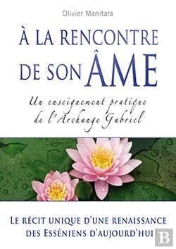 Bertrand.pt - A La Rencontre De Son Ame - Un Enseignement Partique De L'Archange Gabriel