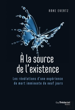 Bertrand.pt - A La Source De L'Existence - Les Revelations D'Une Experience De Mort Imminente De 9 Jours