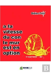 A La Vitesse Du Con, Le Mur Est En Option