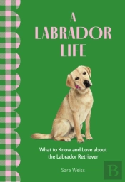 A Labrador Life