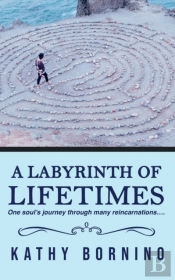 A Labyrinth Of Lifetimes