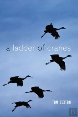 Bertrand.pt - A Ladder Of Cranes