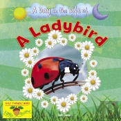 A Ladybird