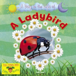 Bertrand.pt - A Ladybird