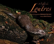 À L'Affut Des Loutres