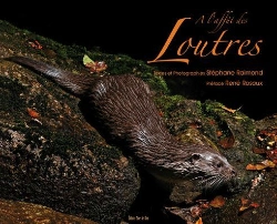 Bertrand.pt - À L'Affut Des Loutres