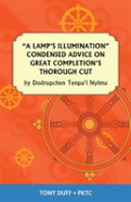 A Lamp'S Illumination Condensed Advice On Great Completion'S Thorough Cut