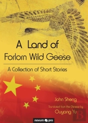 A Land Of Forlorn Wild Geese