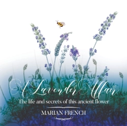 Bertrand.pt - A Lavender Affair