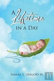 A Lifetime In A Day