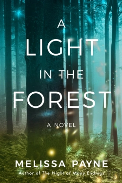 Bertrand.pt - A Light In The Forest