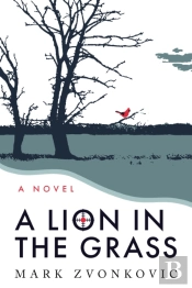A Lion In The Grass